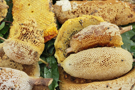 在市场的黄金蜂蜜在市场中的黄金蜂窝照片