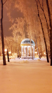 在哈尔科夫公园的壁橱在夜间冬季2017