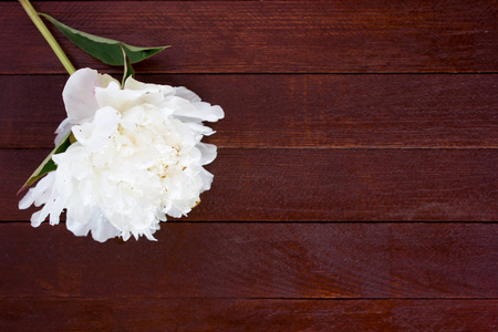 白花的牡丹木制的桌子上
