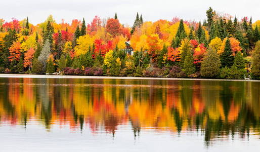 中北魁北克，加拿大 Autumnn 颜色