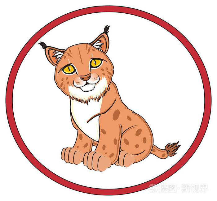 可爱的橙色猞猁