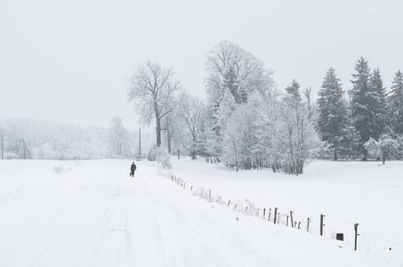 道路覆盖领域冬季降雪