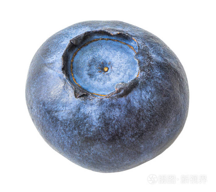 孤立的单个蓝莓