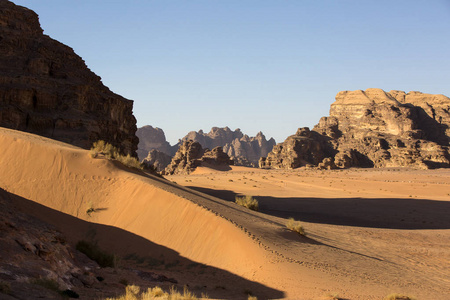 Wadi  