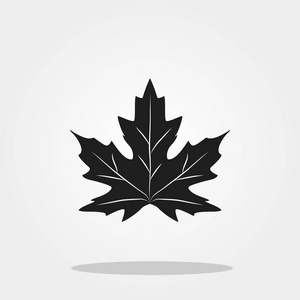 枫叶一样的颜色图片