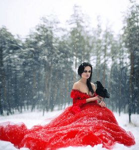 穿着红色衣服，手里拿着乌鸦的女巫坐在雪地上