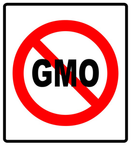 没有转基因标志图标。没有转基因食品。停止转基因生物。红色的禁止标志。停止符号