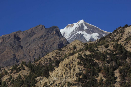 初鹿山，视图从皮桑