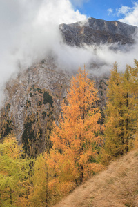 bucegi 山罗马尼亚