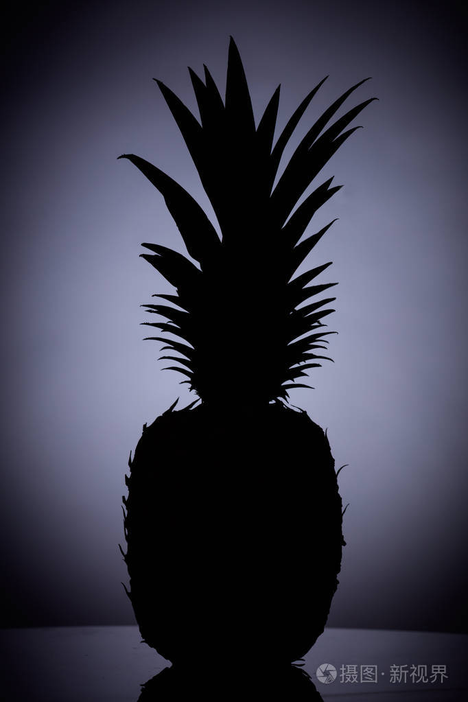 剪影整个菠萝jpg