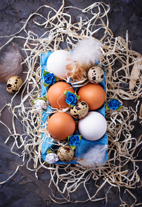 鸡与鹌鹑蛋在纸箱，复活节概念