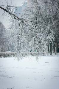 冰的雨在莫斯科公园里，自然灾难