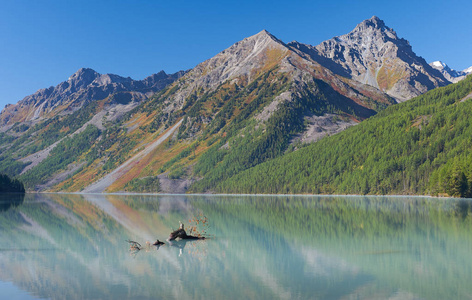 美丽的秋景，阿尔泰山俄罗斯