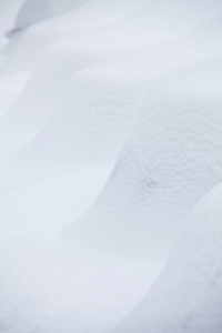 一行的冰雪覆盖的汽车