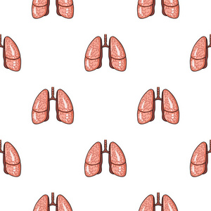 人肺中孤立在白色背景上的卡通风格的图标。人体器官符号股票矢量图
