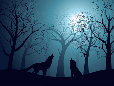 在夜晚的森林中嗥叫的狼
