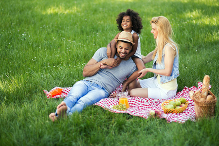 家庭享受野餐