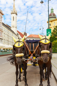 维也纳。两匹马一辆马车
