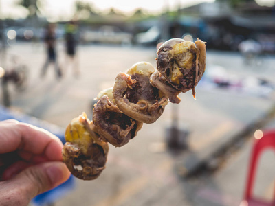 未出生的小鸡泰国爹肉串图片