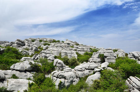 el torcal自然保护区春季景观