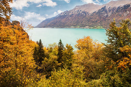 在瑞士伯尔尼高地，在秋天美丽的天气里可以看到布里恩斯湖