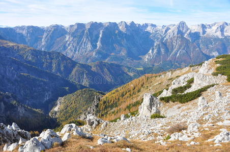 秋季高山全景图