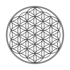 生命之花几何设计照片