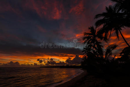 太平洋 海景 夏威夷 天堂 海岸 黎明 太阳 求助 黄昏