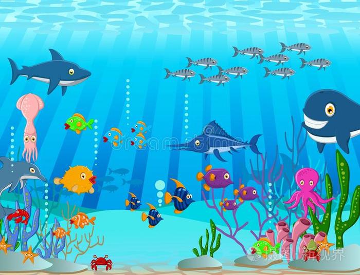 海洋生物卡通背景插画 正版商用图片0wpdde 摄图新视界 海洋生物卡通背景插画 正版商用图片0wpdde 摄图新视界