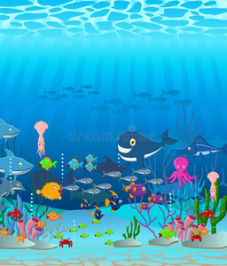 海洋生物卡通背景