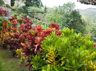 古巴索罗亚公园jardin botanico orquideario soroa。