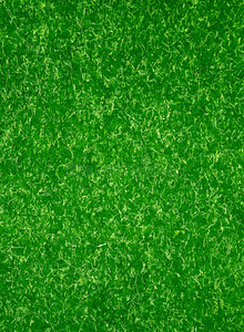 绿色地毯图片