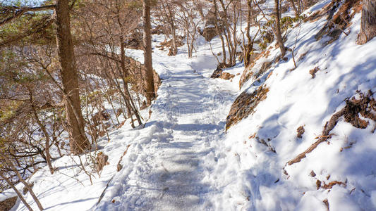 冬天的黄山雪