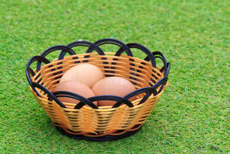 春草鸡蛋