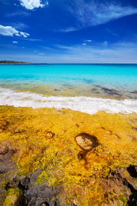 ciutadella蓝松石巴利阿里的menorca son saura海滩