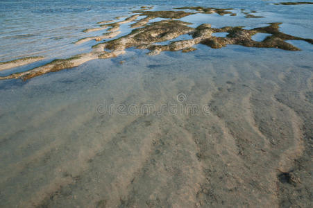 用沙子和海草清理海水