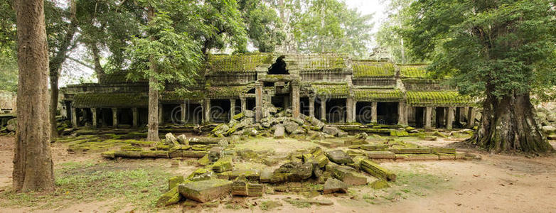 废弃的北入口，塔普罗姆寺，吴哥窟，柬埔寨