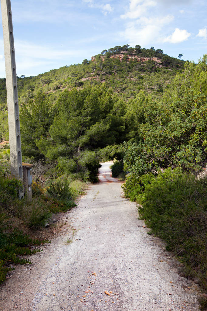 风景秀丽的乡村公路
