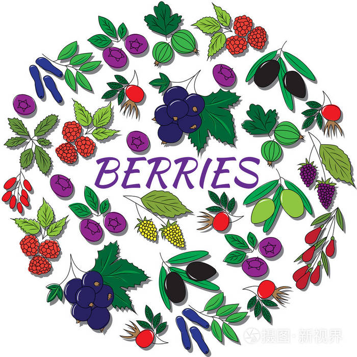手绘轮廓浆果孤立.倒圆角的多彩集