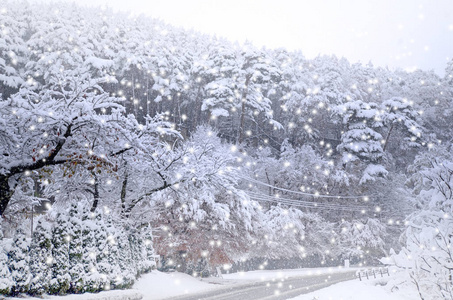 首页和雪的背景。冬天背景