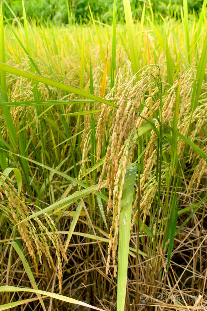 682_1023竖版 竖屏