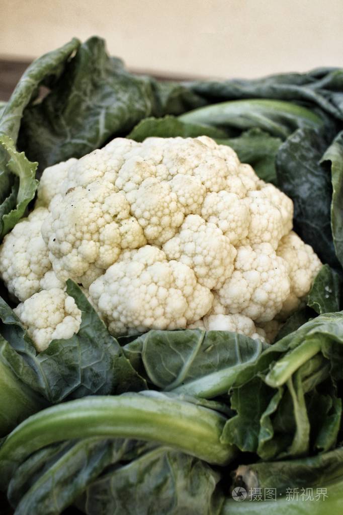 白花椰菜的关门
