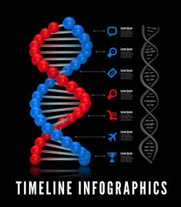 Dna 信息图表。矢量图