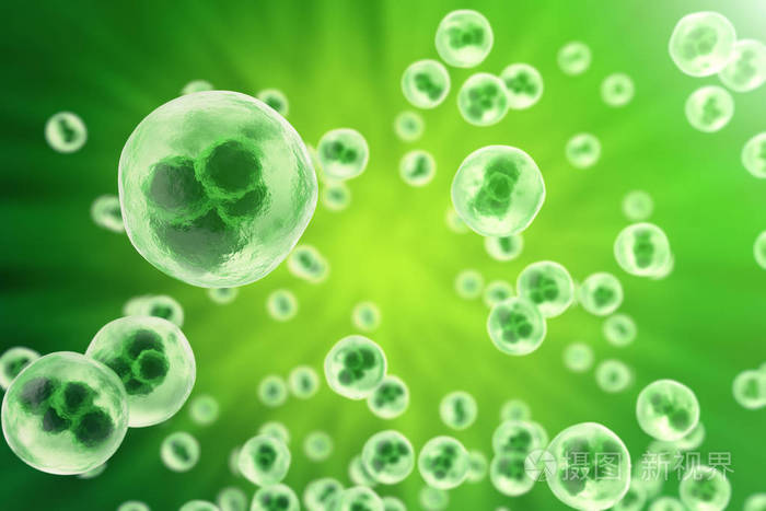 人类细胞或绿色背景上的动物.生活和生物学,医学科学概念与焦点效果.