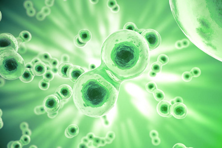 绿色单元格背景。生活与生物学 医学科学 分子生物学研究 dna。3d 渲染