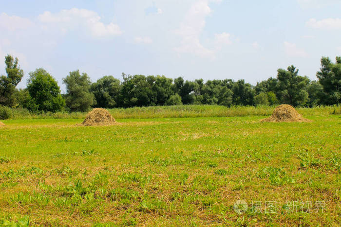 在草原上的干草堆