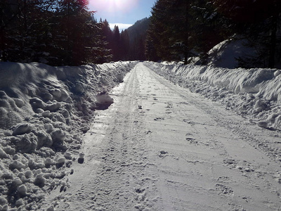 森林道路上的雪灾