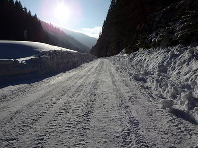 森林道路上的雪灾