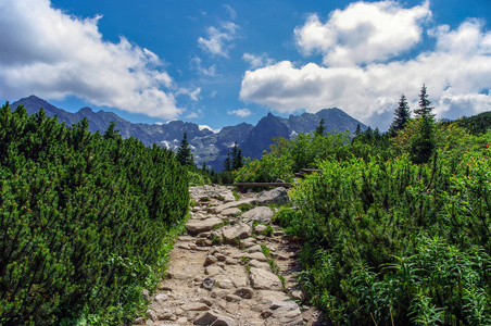 在塔特拉山的夏天风景