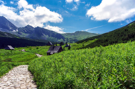 风景秀丽的塔特拉山